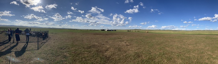 Field of Mongolia